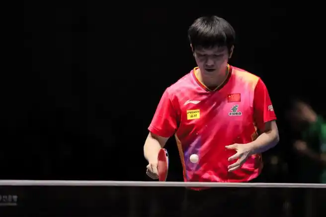 樊振东##釜山世乒赛团体赛