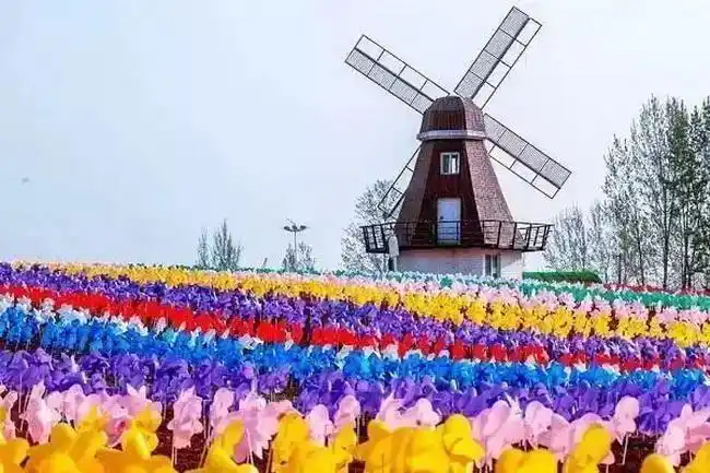 为你"风"狂|10.1敏捷集团首届炫彩风车节 震撼启幕