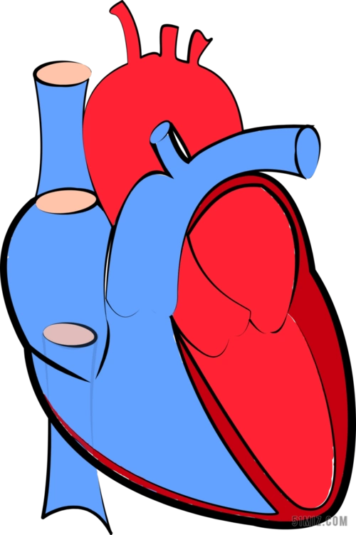 彩色医学卡通一个心脏的简笔彩色画医学教育说明背景图片