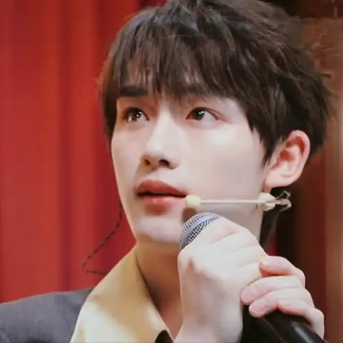 丁程鑫生日直播头像分享