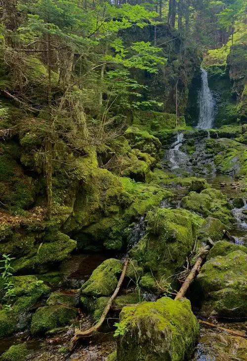 好山好水好风光 加拿大新布省芬迪国家公园