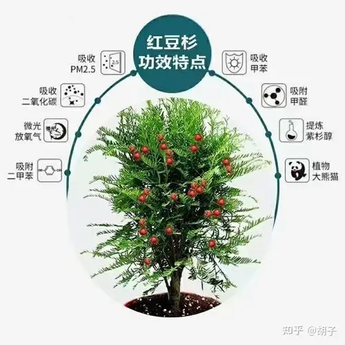 问苗农业科技有限公司成立于2019年5月30日,主要从事