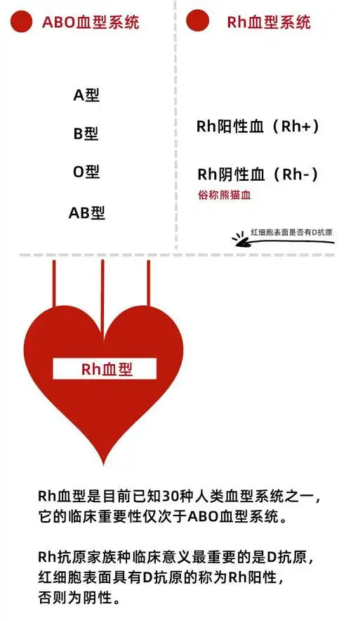 这种血型全球不足50例江苏新发现2例