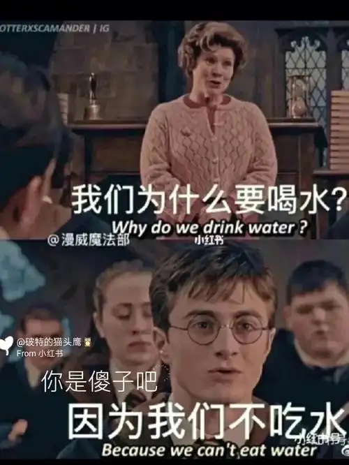 哈利波特表情包  #表情包