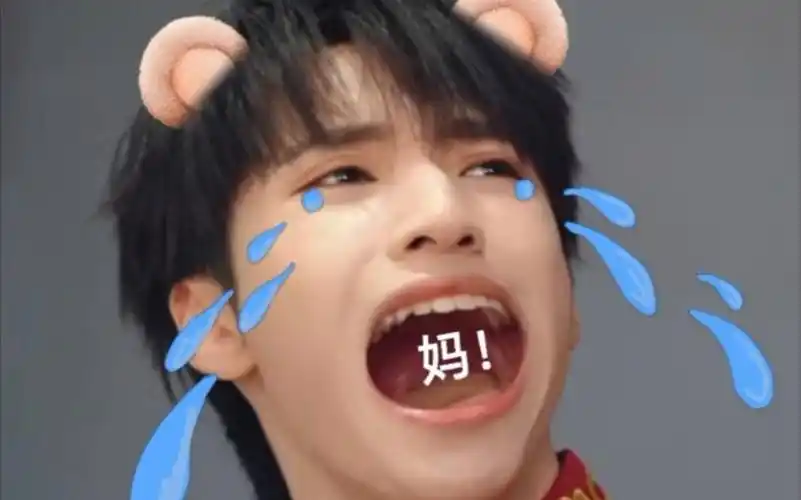 活动作品严浩翔x你关于穿回老公小时候的那件事