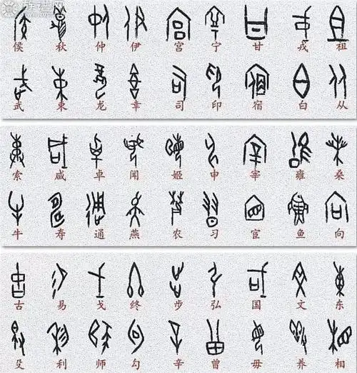 想知道您自己的姓氏用甲骨文是怎么写的吗