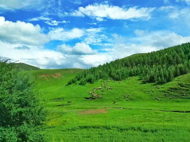 如诗如画的美丽草原行