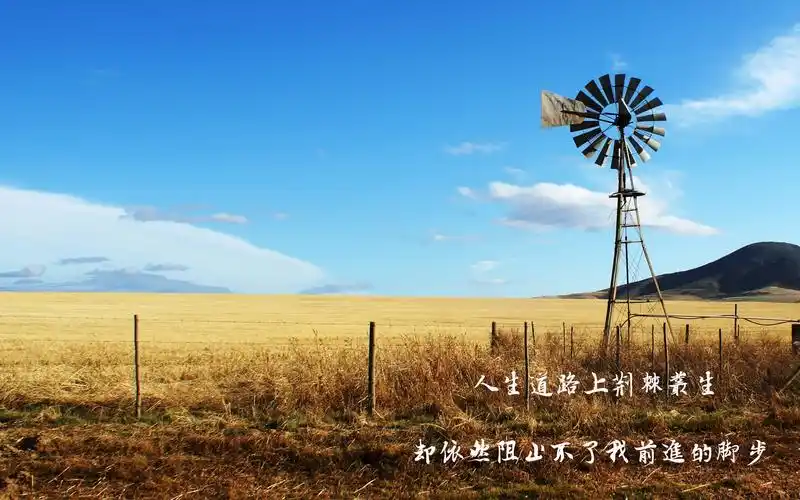 励志图片上一图集:唯美青蛇梦幻摄影写真下一图集:夕阳下孤独背影意境