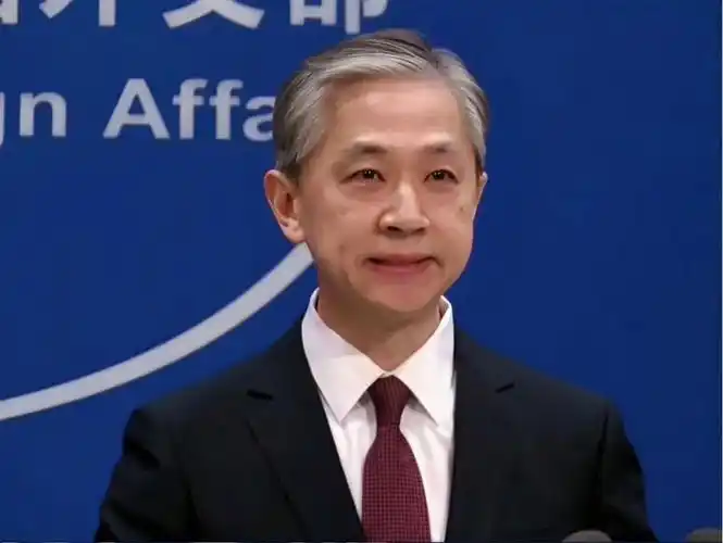 汪文斌简介(现在用他来形容温柔儒雅——汪文斌先生) | 人物集