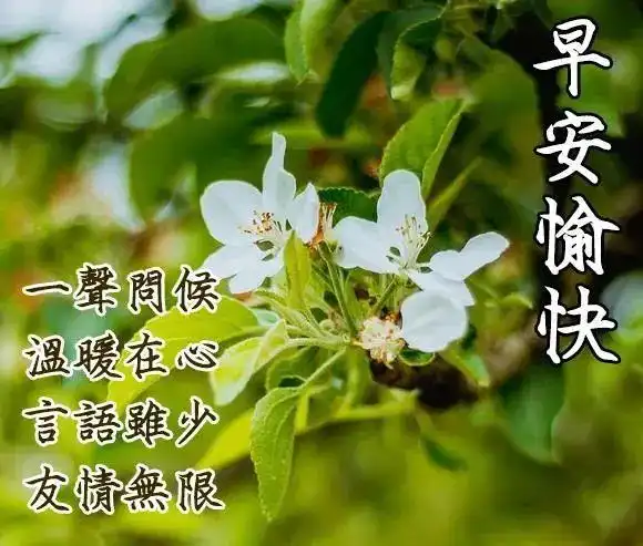 2021年7月8日星期四漂亮早上好问候动态表情图片带字周四最美早安问候