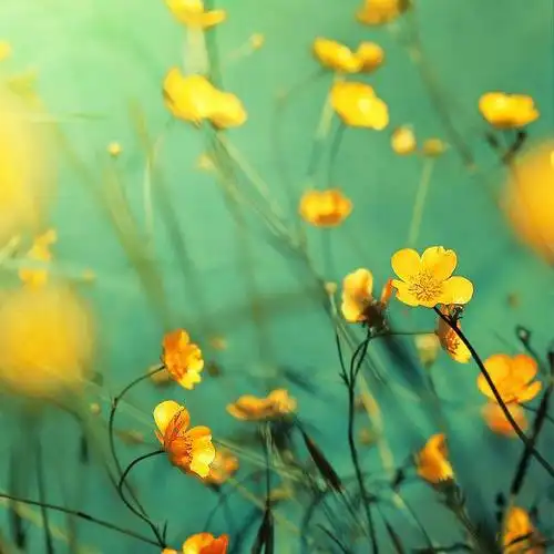 小清新森系治愈系唯美lomo伤感素材 -意境图片-唯美图片大全