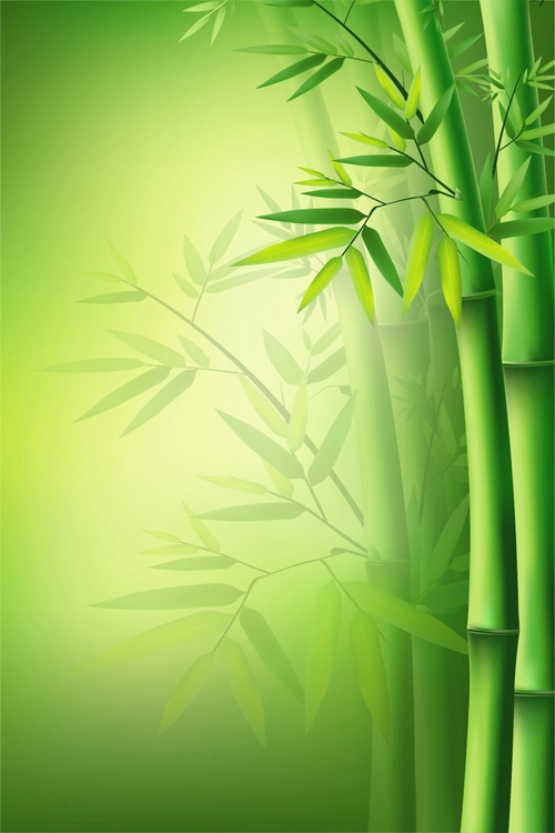 绿色清新简约端午竹子海报背景