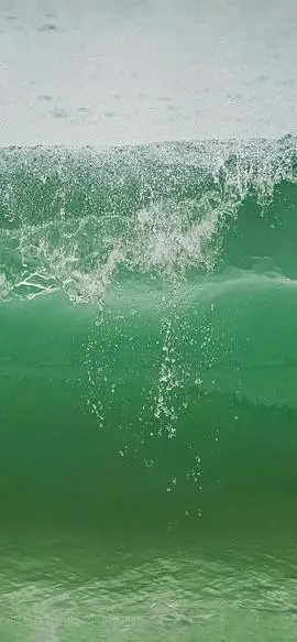 求这个绿色的壁纸原图