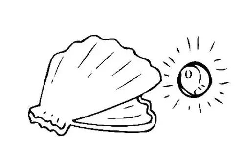 珍珠贝壳简笔画海洋生物简笔画