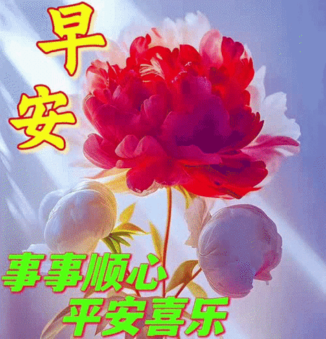 夏天早上好图片最美祝福送你