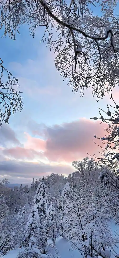 壁纸丨4k高质量iphone壁纸