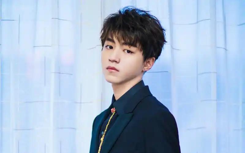 偶像男神王俊凯