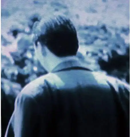 赌神是不是高进