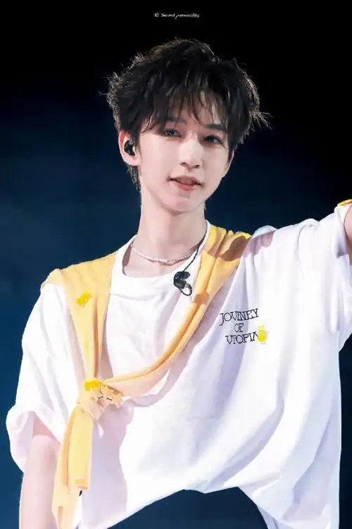 贺峻霖理想之途演唱会