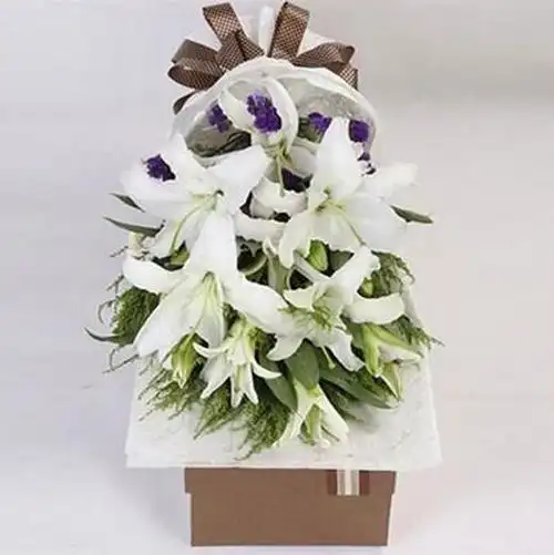 最美是你 --4支白色多头,勿忘我搭配 礼盒包装(1229)