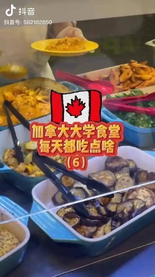多伦多大学的食堂今天也留住了我蹭饭的心vlog日常 多伦多 留学