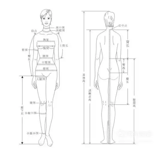 女生标准身材的黄金比例