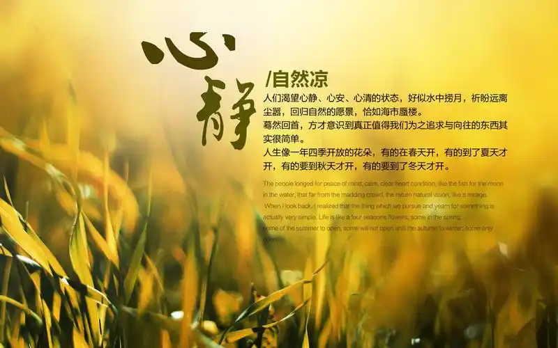 有什么方法可以让人心静?