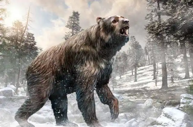 恐怖的史前猛兽:巨型短面熊