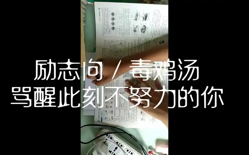 燃向励志向study毒鸡汤骂醒不努力的你成功没有捷径