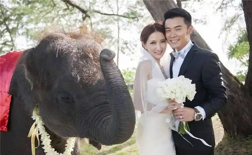 2013年,陈赫宣告了结婚的喜讯,与他携手步入婚姻殿堂的妻子,正是他