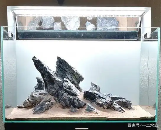 鱼缸造景教程,看石头的走势,让你快速掌握造景技巧