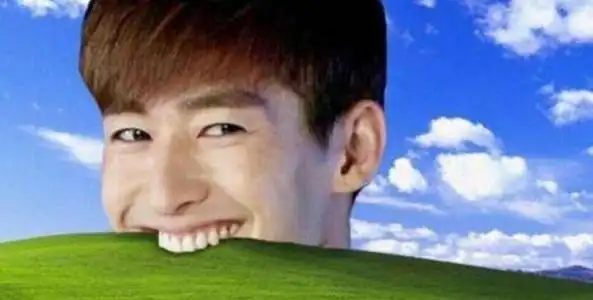 张翰的眼是什么梗