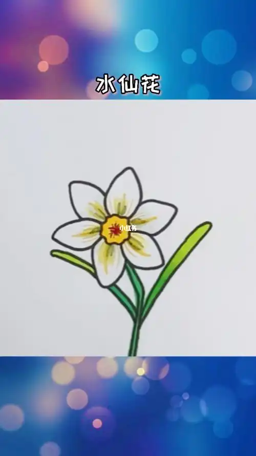 简笔画 #画画 #画个简笔画 #水仙花 水仙花简笔画#花卉
