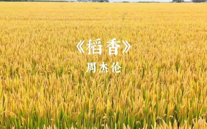 稻香,周杰伦
