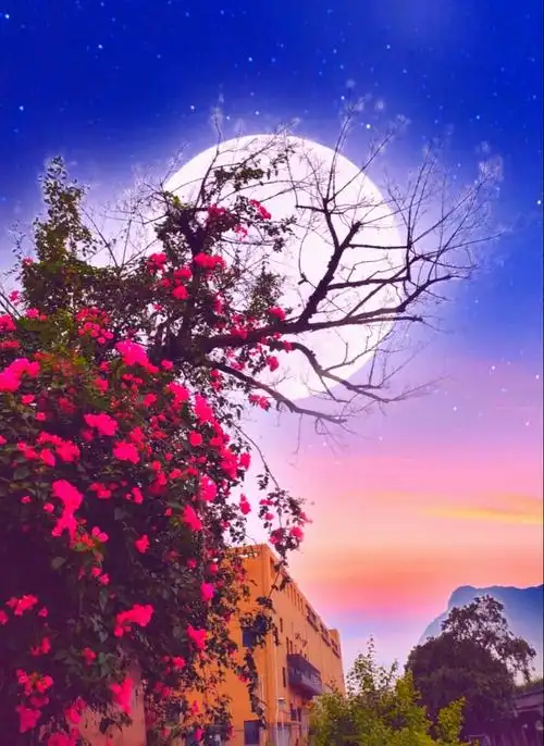 花好月圆前程似锦