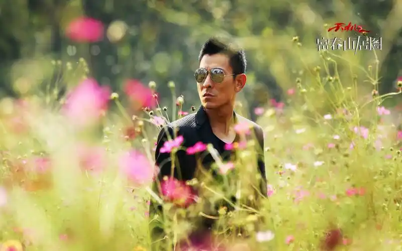 电影天机富春山居图刘德华主演电影高清电脑桌面壁纸下载(2)