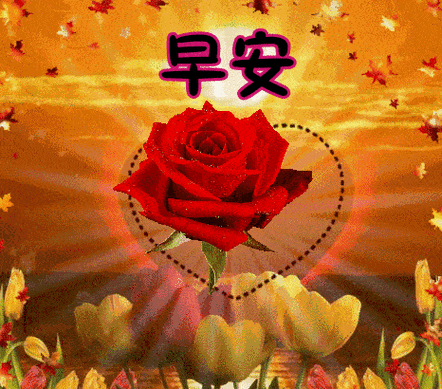 早上好暖心问候语短信特别漂亮的早上好动态表情图片分享
