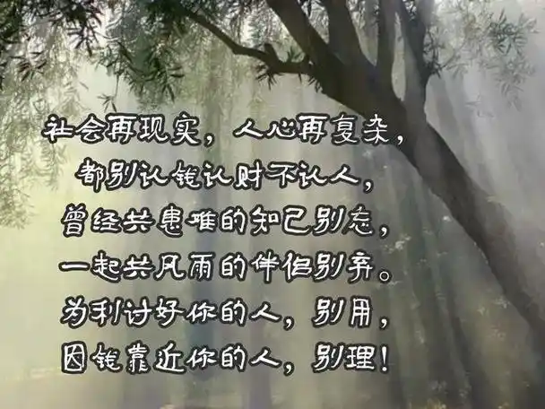 穿透现实直刺人心的语句,句句刺骨但很实际