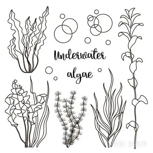 水下绿色海草集插画-正版商用图片0pxv0z-摄图新视界