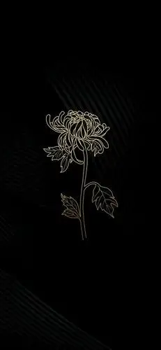 壁纸@黑金系列壁纸