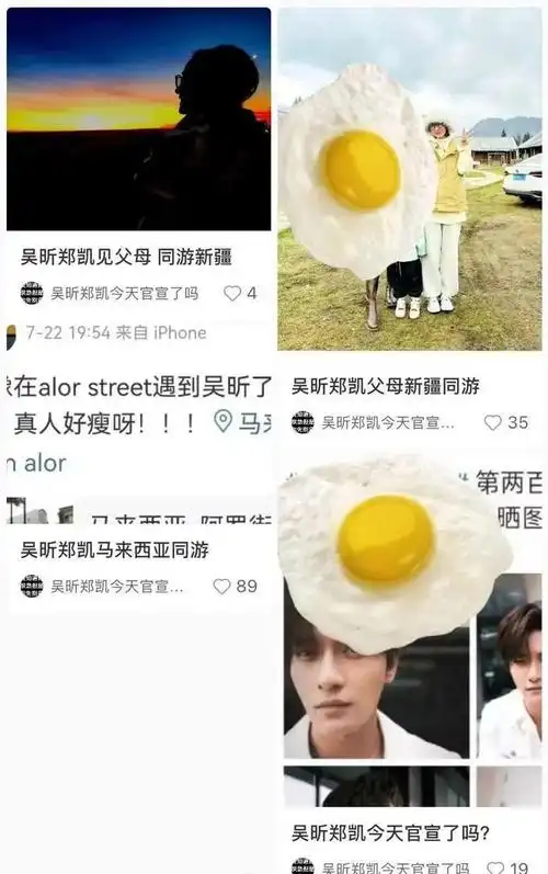 刘亦菲未婚先孕的瓜吴昕郑凯好事将近唐禹哲私生子