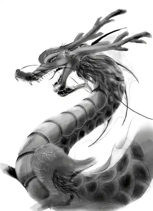 中国龙的素描中国龙的素描画图片