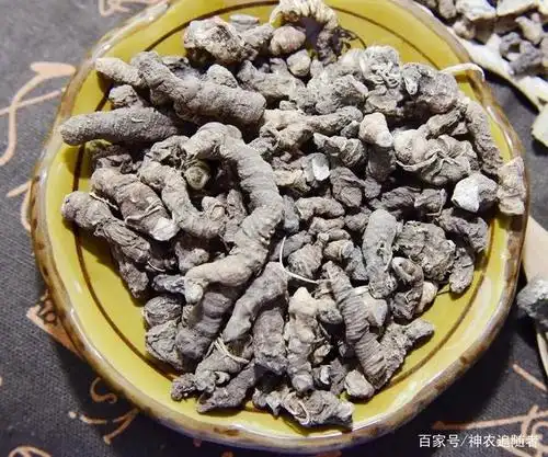 中药古今研究:重楼(蚤休)