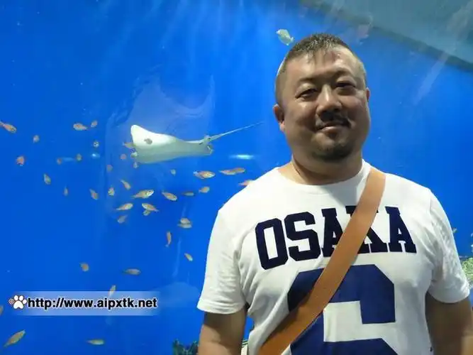 好看的胡子u熊! - 山哨老爷子 - 山哨老爷子