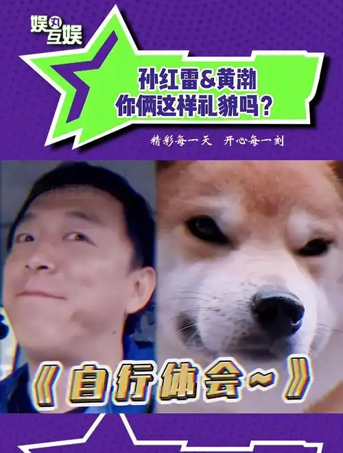 孙红雷黄渤撞脸宠物狗两人互相伤害也太好笑了