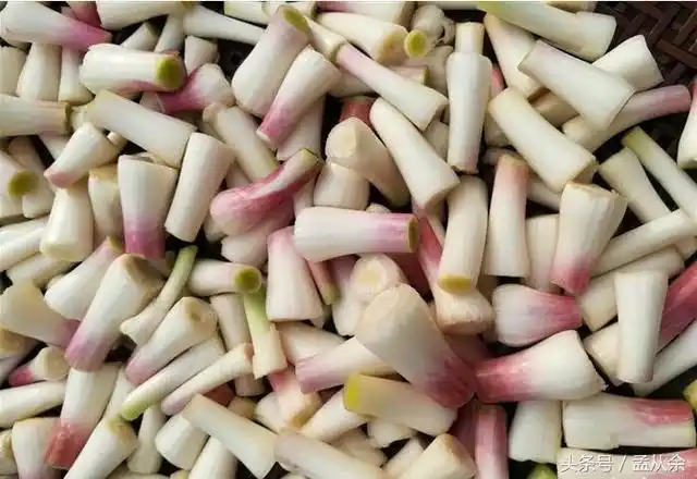 你吃过腌蒜苗吗?与辣酱拌匀,入坛腌制,美味酸辣只等开坛享用了