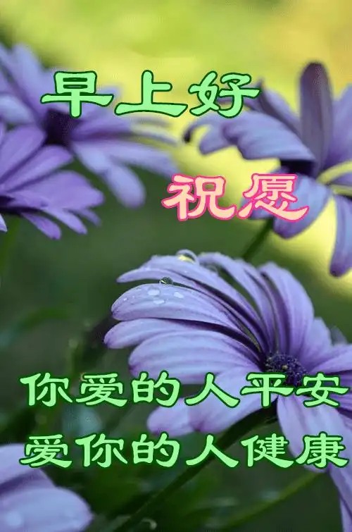 5月10日最漂亮早上好动态表情图片大全早晨好动图美图大全