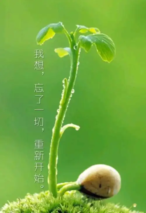 2021,往事清零,一切从新开始!