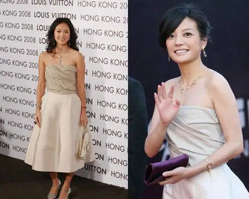 赵薇穿章子怡旧衫走红毯!(图)