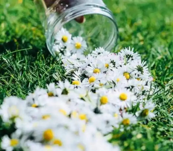 清晨致自己的摘抄短句,唯美青春,励志阳光_生活_都有另_运限